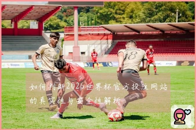如何判断2026世界杯官方投注网站的真实性与安全性解析