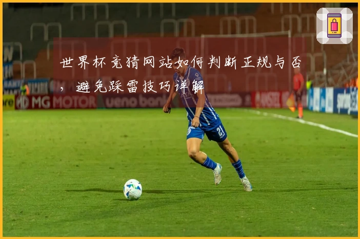 世界杯竞猜网站如何判断正规与否，避免踩雷技巧详解