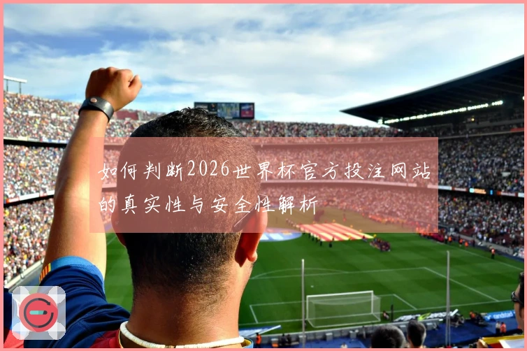 如何判断2026世界杯官方投注网站的真实性与安全性解析