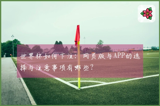 世界杯如何下注：网页版与APP的选择与注意事项有哪些？