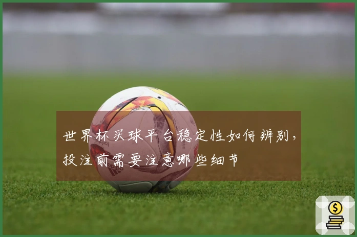 世界杯买球平台稳定性如何辨别，投注前需要注意哪些细节