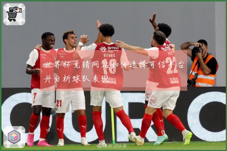 世界杯竞猜网站如何选择可信平台并分析球队表现